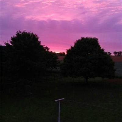 998娱乐彩票安卓APP手机app下载