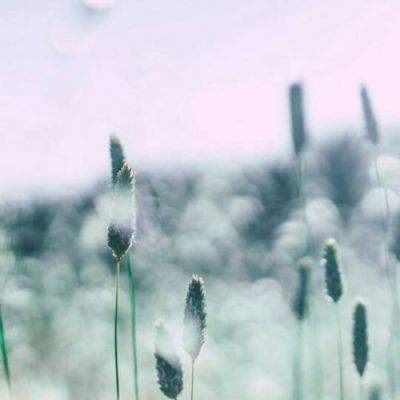 998娱乐彩票安卓APP手机app下载截图